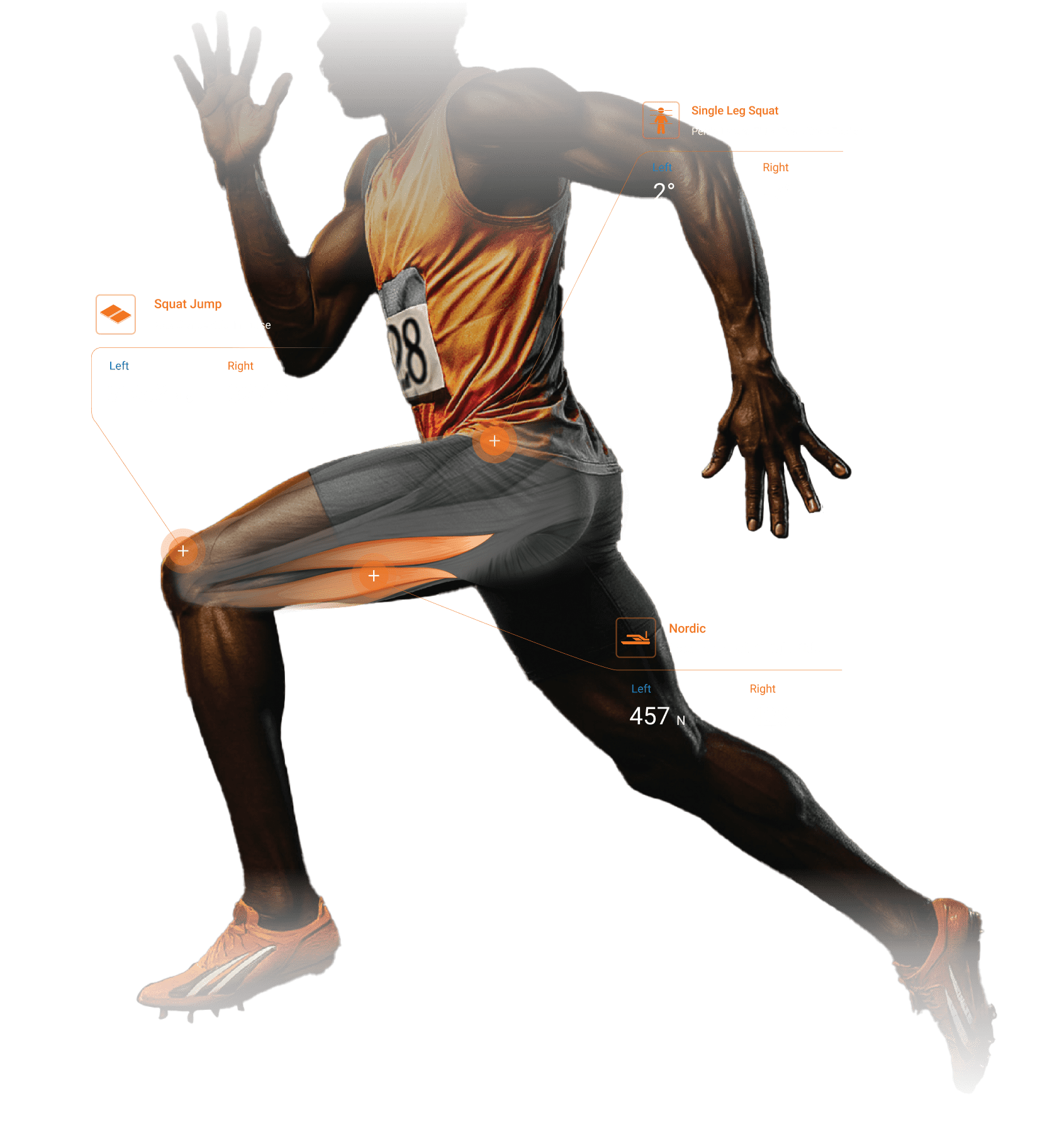 pg-hamstring-hero-v2-min
