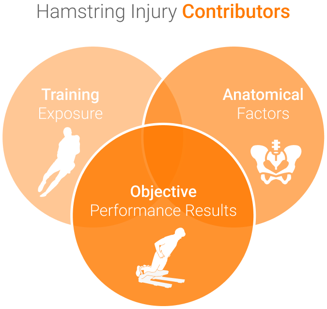 pg-hamstring-venn